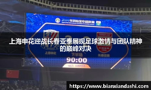 B体育bsports