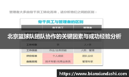 B体育官网